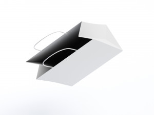 Paper Bag 3Dモデル
