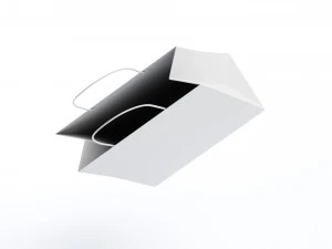 Paper Bag 3D Model