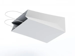 Paper Bag 3D Model