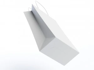 Paper Bag 3D Model