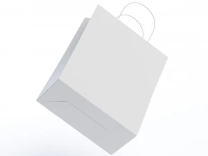 Paper Bag 3D Model