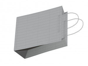 Paper Bag 3Dモデル