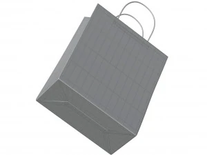 Paper Bag 3D Model