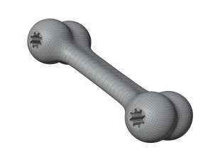 Rubber Bone Toy Model 3D