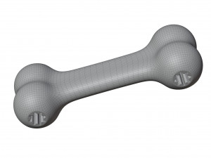 Rubber Bone Toy Model 3D