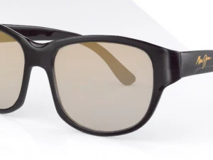 마우이짐 선글라스 3D 모델