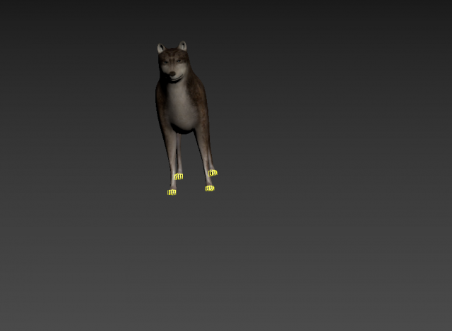 wolf 3D Model .c4d .max .obj .3ds .fbx .stl .blend 