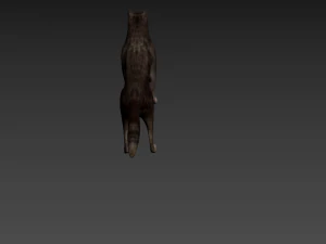 lobo Modelo 3D