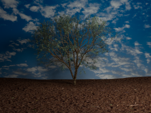 tree 3D 모델