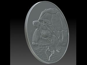 tortoise Modello di stampa 3D