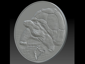 tortoise Modello di stampa 3D