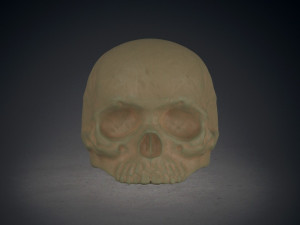 ring skull Modèles 3D en vedette