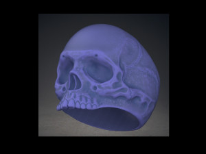 ring skull Modèles 3D en vedette