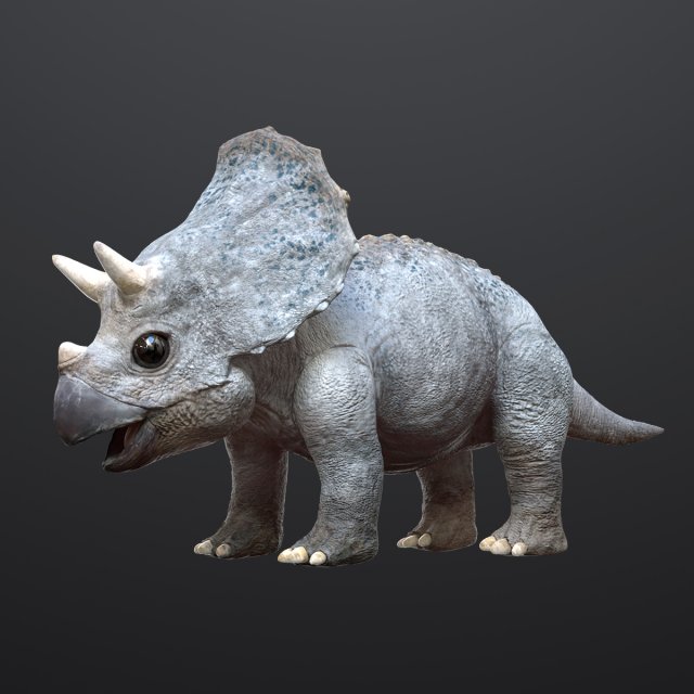 triceratopsbaby 3d rigged model 3Dモデル .c4d .max .obj .3ds .fbx .stl .blend 