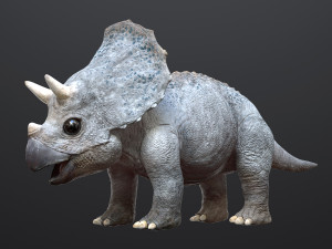 triceratopsbaby 3d rigged model 3D Model