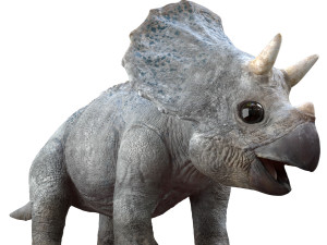 triceratopsbaby 3d rigged model 3Dモデル