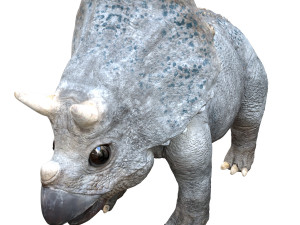 triceratopsbaby 3d rigged model 3Dモデル