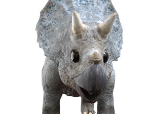 triceratopsbaby 3d rigged model 3Dモデル