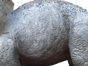triceratopsbaby 3d rigged model 3Dモデル
