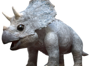 triceratopsbaby 3d rigged model 3Dモデル