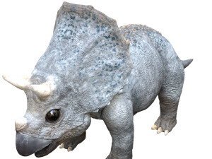 triceratopsbaby 3d rigged model 3Dモデル