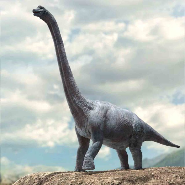brachiosaurus rigged Model 3D .c4d .max .obj .3ds .fbx .stl .blend 