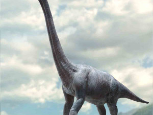 brachiosaurus rigged Model 3D
