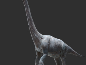 brachiosaurus rigged Model 3D
