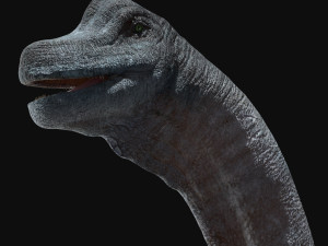 brachiosaurus rigged Model 3D