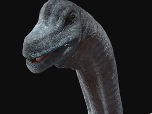 brachiosaurus rigged Model 3D