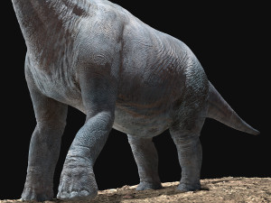 brachiosaurus rigged Model 3D