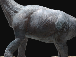 brachiosaurus rigged Model 3D
