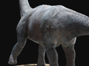 brachiosaurus rigged Model 3D