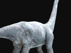 brachiosaurus rigged Model 3D