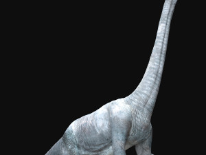 brachiosaurus rigged Model 3D