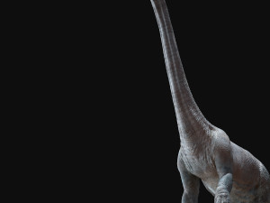 brachiosaurus rigged Model 3D