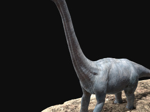 brachiosaurus rigged Model 3D