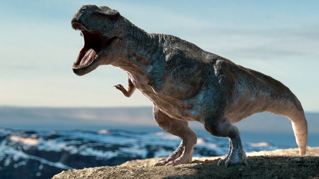 tyrannosaurus rex rigged animated Model 3D .c4d .max .obj .3ds .fbx .stl .blend 