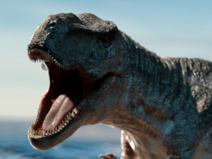 tyrannosaurus rex rigged animated Model 3D