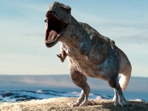 tyrannosaurus rex rigged animated Model 3D