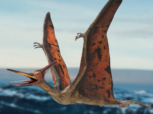 pteranodon animated rigged 3D मॉडल