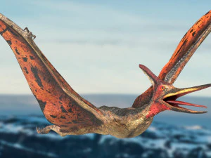 pteranodon animated rigged 3D Model