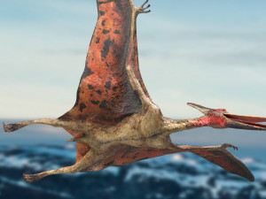 pteranodon animated rigged Model 3D