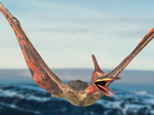pteranodon animated rigged Model 3D