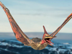 pteranodon animated rigged 3D Model