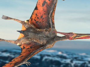 pteranodon animated rigged Model 3D