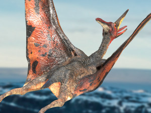 pteranodon animated rigged Model 3D