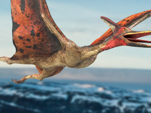 pteranodon animated rigged Model 3D