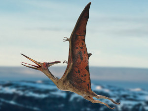 pteranodon animated rigged Model 3D