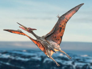 pteranodon animated rigged Model 3D